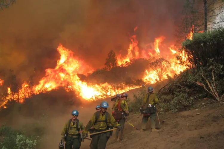 Firefighters Moving Away From a Fire Source
