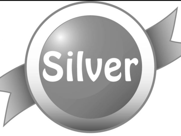 Silver Sponsorship $600